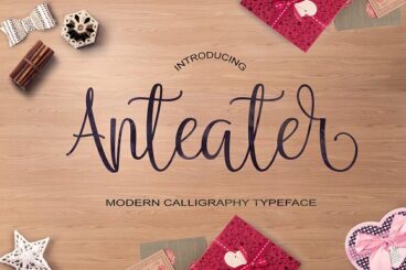 Anteater Script Font
