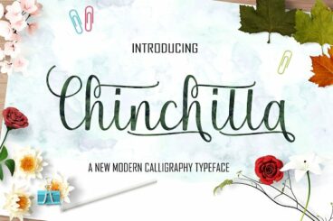 Chinchilla Script Font