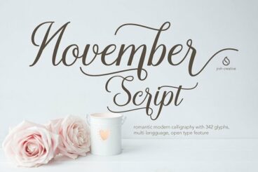 November Script Font