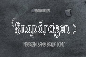 Snapdragon Sans Serif