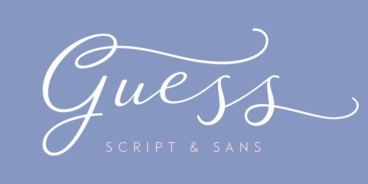 Guess Font Family