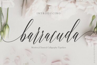 Barracuda Script Font