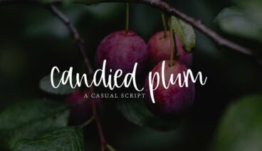 Candied Plum Font