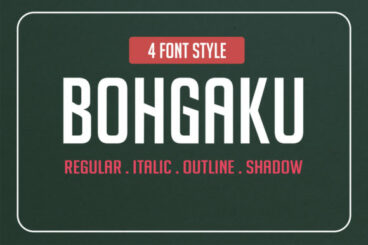 Bohgaku Family Font