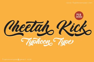 Cheetah Kick font