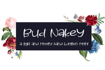 PN Bud Nakey Script Font