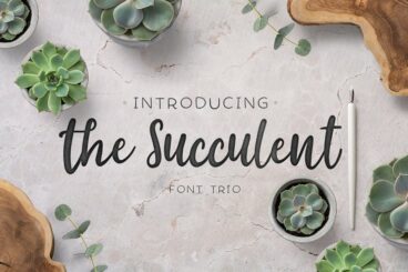 The succulent - font trio