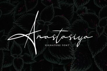 Anastasiya Elegant Signature Font