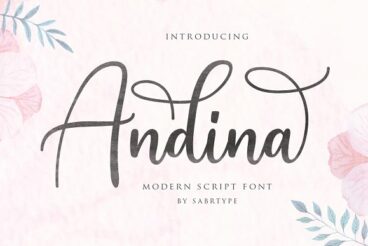 Andina - Modern Script Font