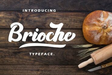 Brioche - Bold Script TypefaceScript Font