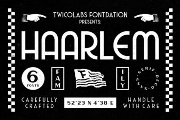 Haarlem Family | 3 in 1 Fonts