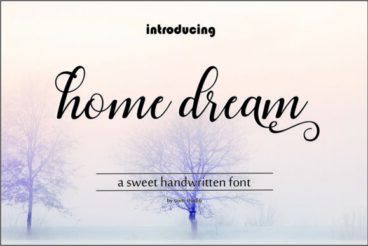 Home Dream Script