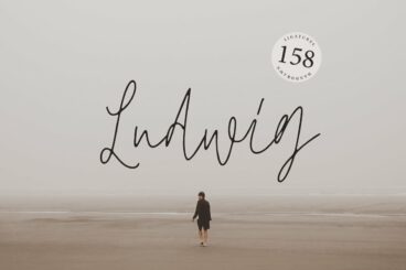 Ludwig Script Font