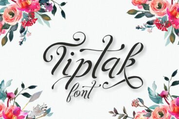 Tiptak Script Font