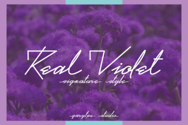 Real Violet Script Font