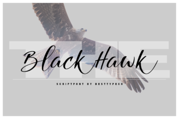 The Black HawkScript Font