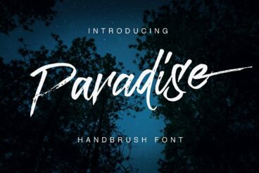 Paradise Typeface Font