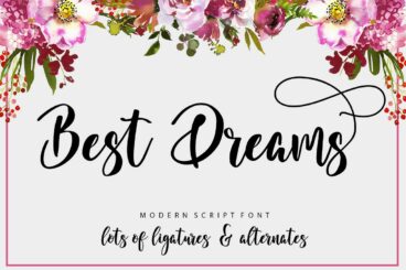 Best Dreams Script Font