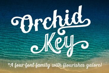 Orchid Key- a retro 4-font family