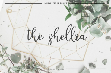 the shellra Font