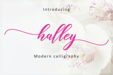 Halley Script Font