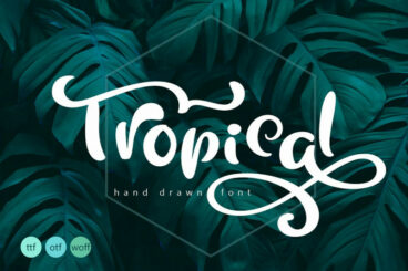 Tropical Summer Font Other Font