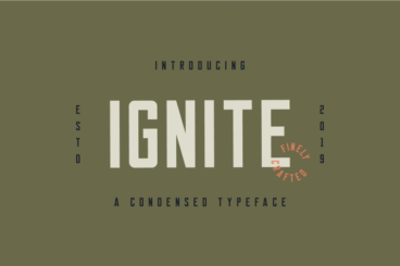 Ignite - Commercial License