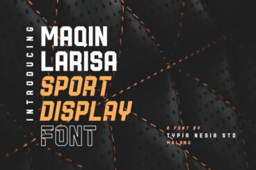Maqin Larisa Display Logo Font