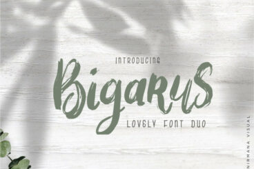 Bigarus Font Duo