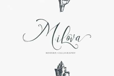 Milova | Modern Calligraphy font