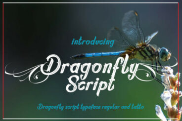 Dragonfly Script