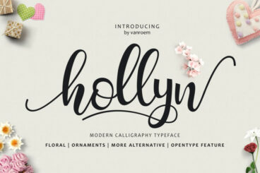 Hollyn + Extras Font