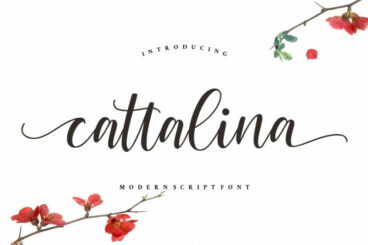 Cattalina - Beauty Font