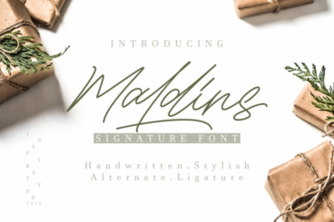 Maldins - Stylish Signature Font
