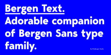 Bergen Text Font Family
