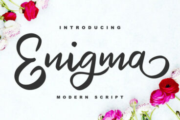 Enigma | Modern Script Font