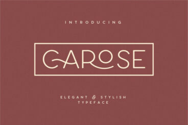 Carose Sans- 6 Elegant Typeface