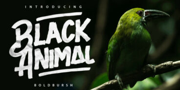 Black Animal Font Family