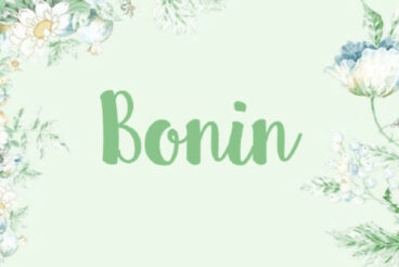 Bonin Font