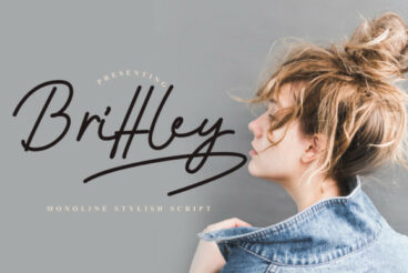 Brittley Font