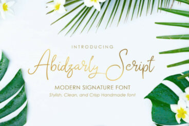 Abidzarly Font