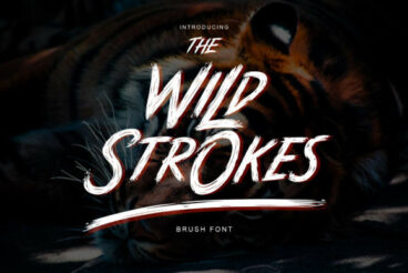 Wild Strokes Font