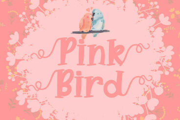 Pink Bird Font