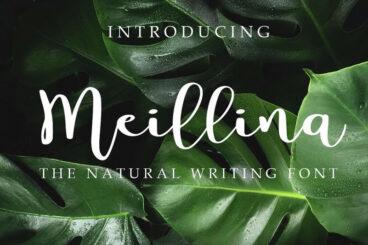 Meillina Natural Font