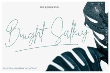 Bright Salkiy Font
