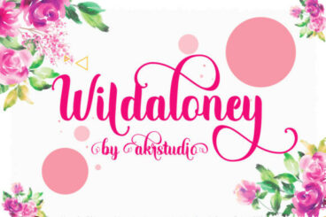 Wildaloney Font