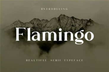 Flamingo Serif Font
