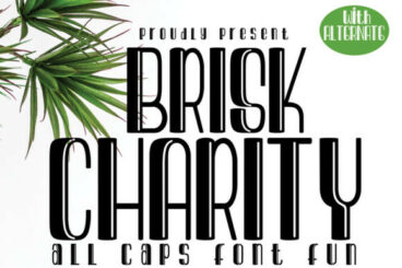 Brisk Charity Font