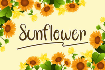 Sunflower  Font
