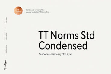 TT Norms Std Condensed Font